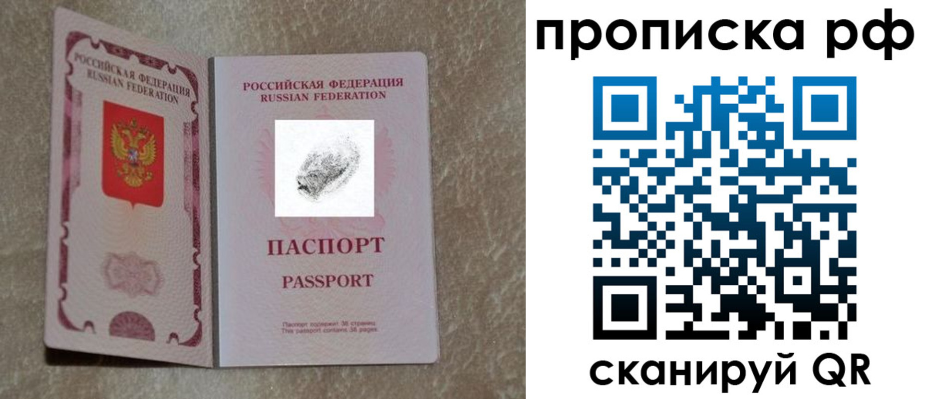 прописка поиск в Реже